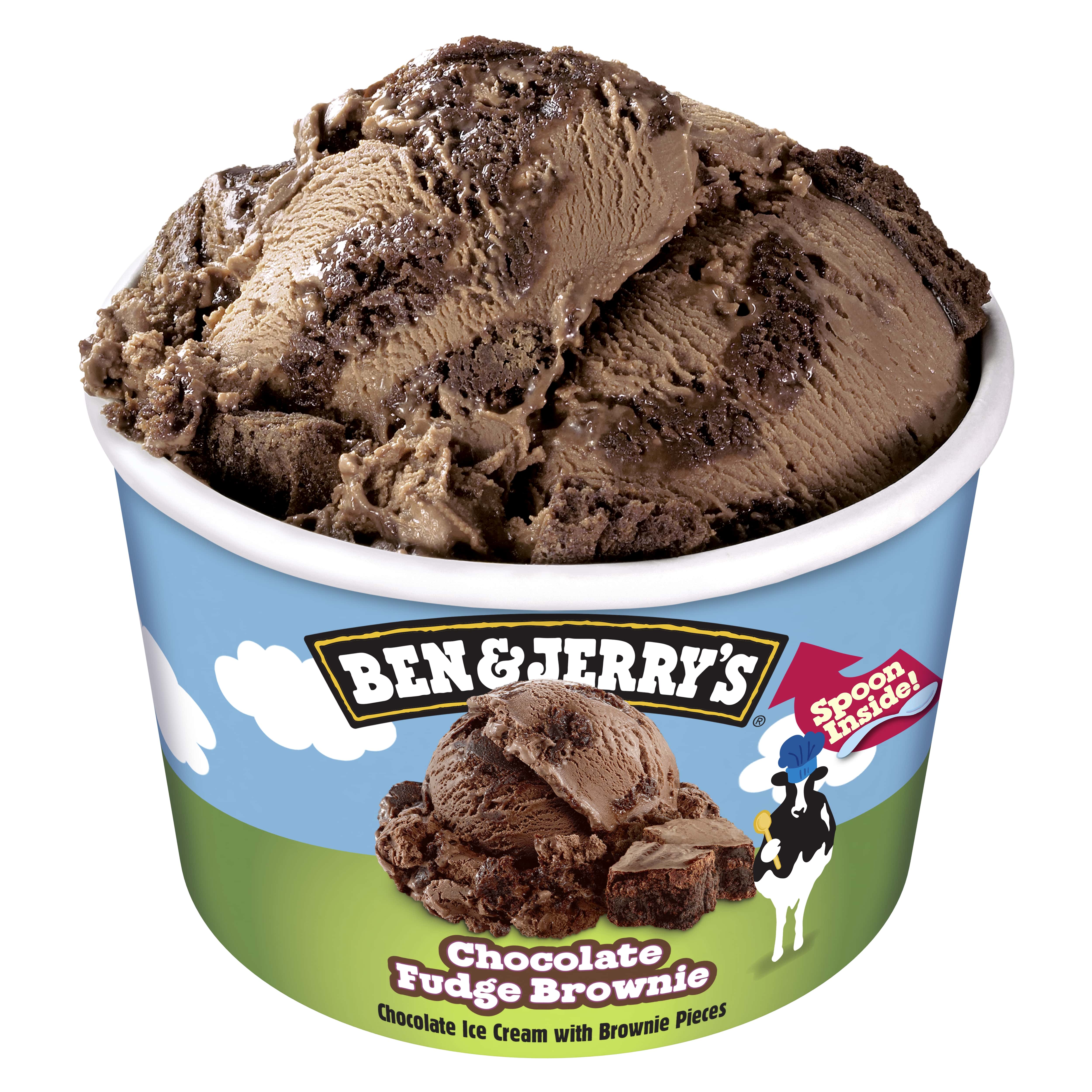 Ben & Jerry's Chocolate Fudge Brownie Ice Cream AFH
